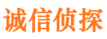 张湾市私家侦探